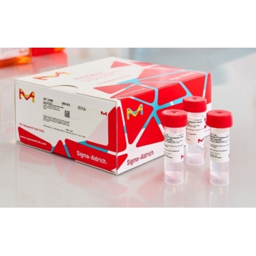 MilliShot®Gentamicin Ready Made Solution，，G9571-20X5ML，Sigma