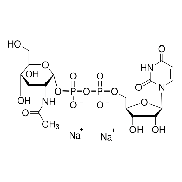 尿苷 5′-二磷酸-N-乙酰葡糖胺 钠盐，25MG，U4375-25MG，Sigma