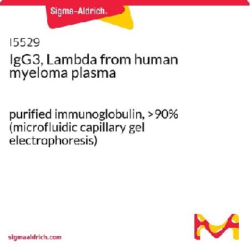 IgG3, Lambda from human myeloma plasma，1MG，I5529-1MG，Sigma
