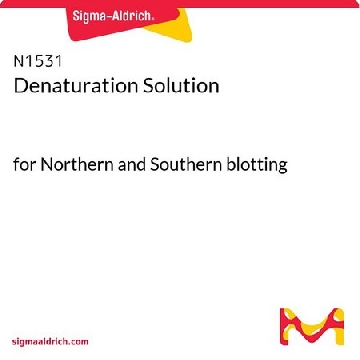 Denaturation Solution，1L，N1531-1L，Sigma