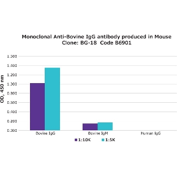 Monoclonal Anti-Bovine IgG antibody produced in mouse，0.2ML，B6901-.2ML，Sigma