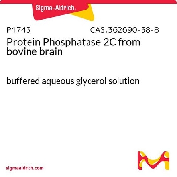 Protein Phosphatase 2C from bovine brain，1VIAL，P1743-1VL，Sigma