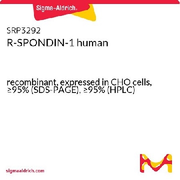 R-SPONDIN-1 人，20UG，SRP3292-20UG，Sigma