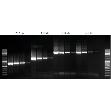 KAPA LongRange，250UNITS，KK3502，Roche