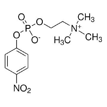 O-胆碱，1G，N5879-1G，Sigma