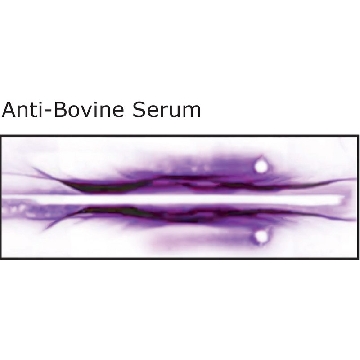 Anti-Bovine Serum antibody produced in rabbit，2ML，B8270-2ML，Sigma