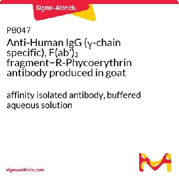 Anti-Human IgG (γ-chain specific), F(ab′)₂ fragment−R-Phycoerythrin antibody produced in goat，0.5ML，P8047-.5ML，Sigma