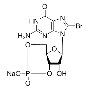 8-溴鸟嘌呤3′，5′-环一磷酸 钠盐，100MG，B1381-100MG，Sigma