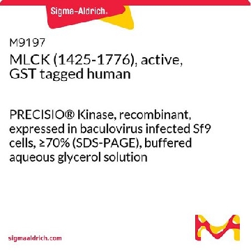 MLCK (1425-1776)，活性，GST 标记 人，10UG，M9197-10UG，Sigma