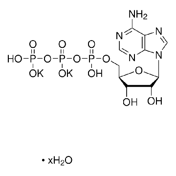 腺苷5′-三磷酸 二钾盐 水合物，5G，A8937-5G，Sigma