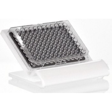 Well plate stand，1EA，W0765-1EA，Sigma