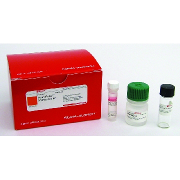 NeuroPorter™转染试剂盒，1KIT，NPT01-1KT，Sigma