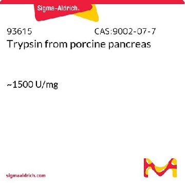 胰蛋白酶 来源于猪胰腺，25G，93615-25G，Sigma