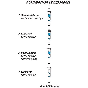 GenElute™ PCR 纯化试剂盒，1KIT，NA1020-1KT，Sigma