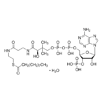 癸酰辅酶 A 一水合物，5MG，D5269-5MG，Sigma