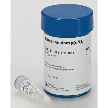 引物“随机”，2MG，11034731001，Roche