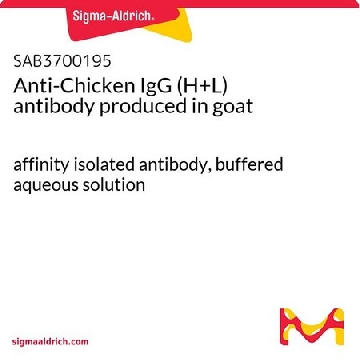 Anti-Chicken IgG (H+L) antibody produced in goat，2MG，SAB3700195-2MG，Sigma