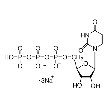 尿苷-5′-三磷酸酯 三钠盐 水合物，100MG，U6625-100MG，Sigma