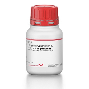 α-糜蛋白酶原A 来源于牛胰腺，100MG，C4879-100MG，Sigma