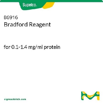 Bradford试剂，500ML，B6916-500ML，Supelco