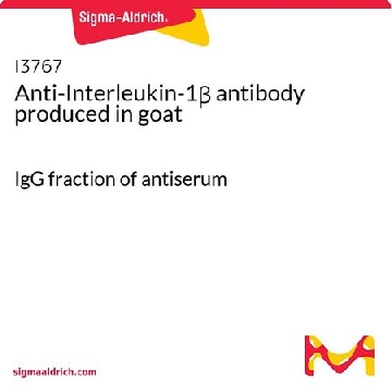 抗-白介素-1β 山羊抗，1MG，I3767-1MG，Sigma