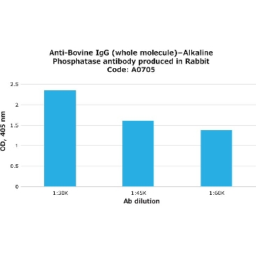 Anti-Bovine IgG (whole molecule)−Alkaline Phosphatase antibody produced in rabbit，0.25ML，A0705-.25ML，Sigma