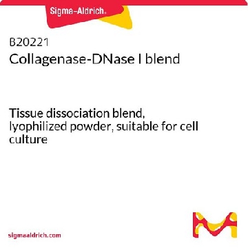 Collagenase-DNase I blend，1VIAL，B20221-1VL，Sigma