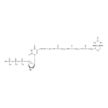 生物素-16-dUTP，50UL，11093070910，Roche