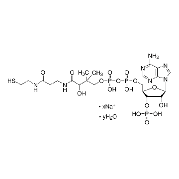 辅酶 A 钠盐 水合物，10MG，C4780-10MG，Sigma