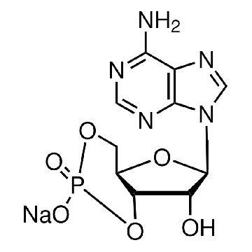 腺苷 3′,5′-环单磷酸 钠盐 一水合物，25MG，A6885-25MG，Sigma