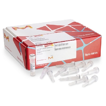 GenElute™-E Organic Solvent DNA Cleanup Kit，10REACTIONS，EC700-10RXN，Sigma