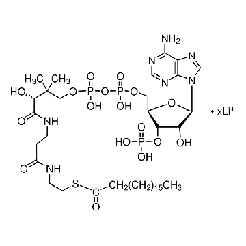 硬脂酰辅酶 A 锂盐，5MG，S0802-5MG，Sigma