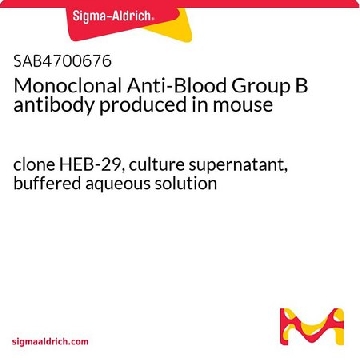Monoclonal Anti-Blood Group B antibody produced in mouse，1ML，SAB4700676-1ML，Sigma