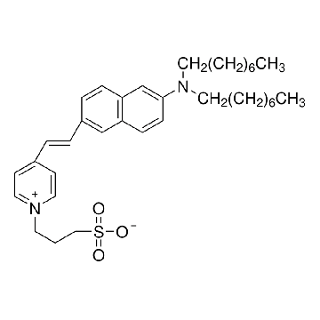 4-(2-[6-(二辛基氨基)-2-萘基]乙烯基)-1-(3-磺丙基)吡啶鎓 内盐，5MG，D1065-5MG，Sigma