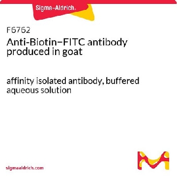 抗-生物素−FITC 山羊抗，0.5ML，F6762-.5ML，Sigma