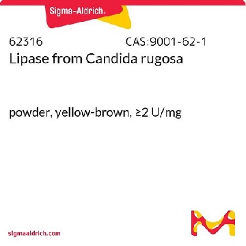 脂肪酶 来源于皱褶假丝酵母，50G，62316-50G，Sigma