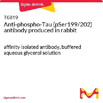 抗磷酸化-Tau(pSer199/202) 兔抗，1VIAL，T6819-1VL，Sigma