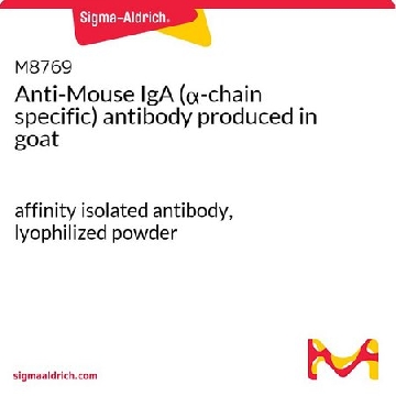 Anti-Mouse IgA (α-chain specific) antibody produced in goat，1MG，M8769-1MG，Sigma