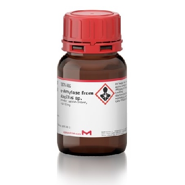 α-淀粉酶 来源于枯草芽孢杆菌，10G，10070-10G，Sigma