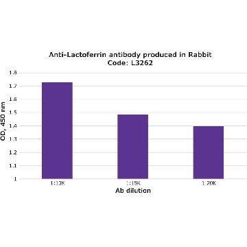 Anti-Lactoferrin antibody produced in rabbit，1VIAL，L3262-1VL，Sigma