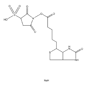 生物素 3-磺基-N-羟基琥珀酰亚胺酯 钠盐，50MG，B5161-50MG，Sigma