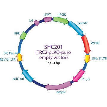 MISSION® TRC2 pLKO.5-puro 空载体控制质粒 DNA，1PKG，SHC201，Sigma