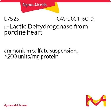 ʟ-Lactic Dehydrogenase 来源于猪心脏，12500UNITS，L7525-12.5KU，Sigma