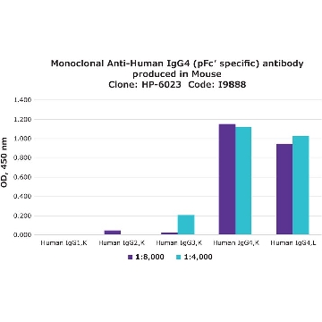 Monoclonal Anti-Human IgG4 (pFc′ specific) antibody produced in mouse，0.2ML，I9888-.2ML，Sigma