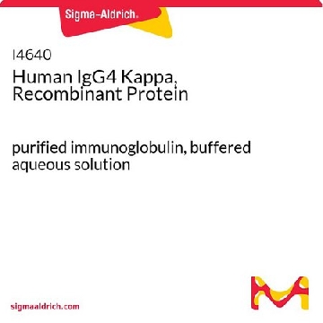 人 IgG4 Kappa，重组蛋白，1MG，I4640-1MG，Sigma