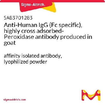 抗  人 IgG（Fc 特异性），高交叉吸附过氧化物酶 山羊抗，1MG，SAB3701283-1MG，Sigma