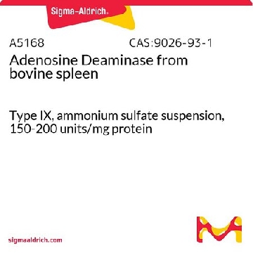 腺苷脱氨酶 来源于牛脾脏，250UNITS，A5168-250UN，Sigma