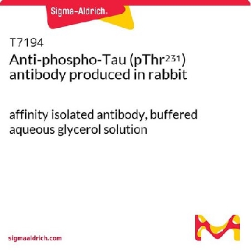 Anti-phospho-Tau (pThr²³¹) antibody produced in rabbit，1VIAL，T7194-1VL，Sigma