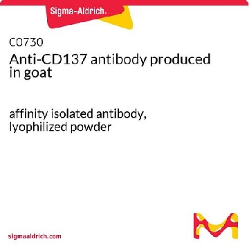 Anti-CD137 antibody produced in goat，0.1MG，C0730-.1MG，Sigma
