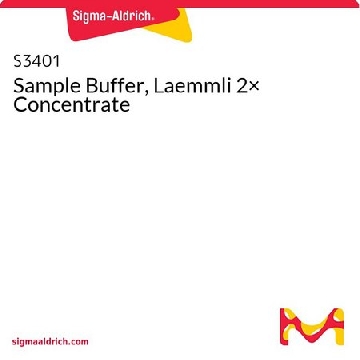 样品缓冲液，Laemmli 2x 浓缩液，10VIALS，S3401-10VL，Sigma